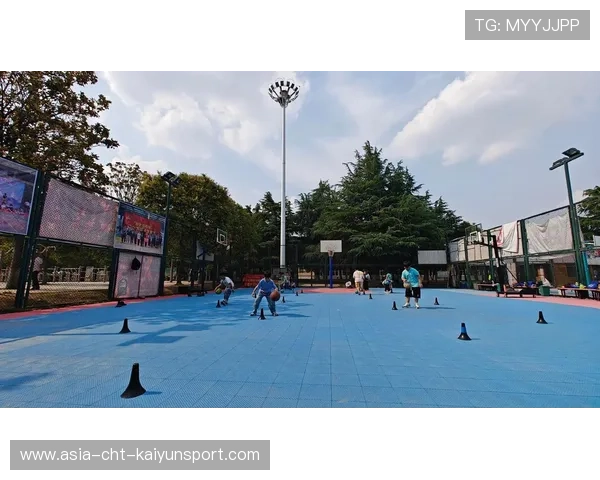 篮球训练设施在中国城市边缘地区的分布情况，篮球训练营市场占有率